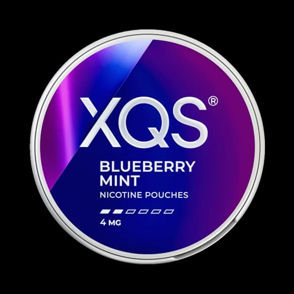 XQS Blueberry Mint 4mg dosa