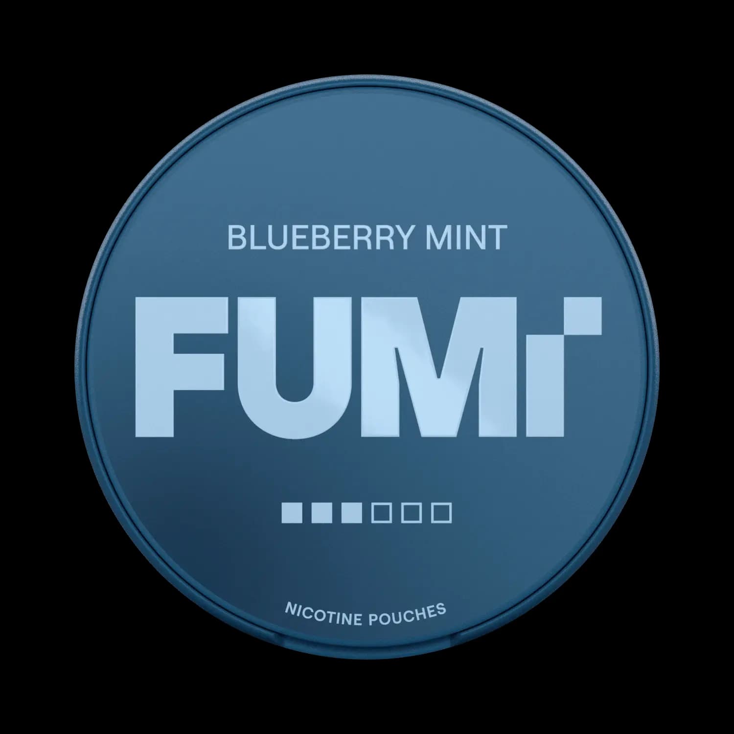 Fumi Blueberry Mint 8mg