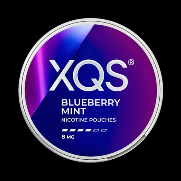 XQS Blueberry Mint 8mg dosa